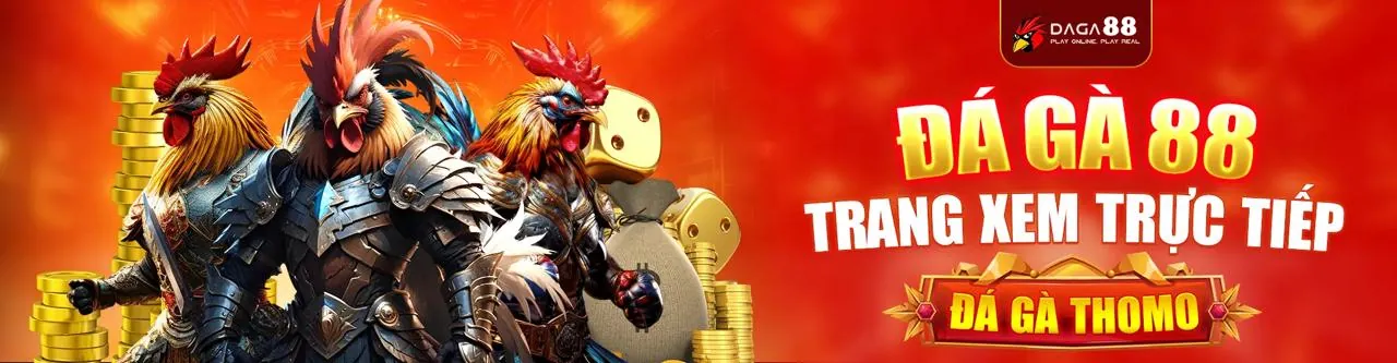 Sân đá gà trực tuyến Wibo88 link mới